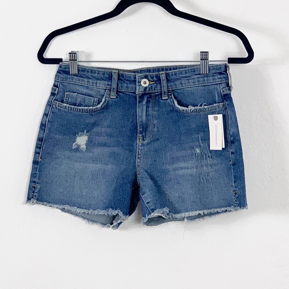 Anthropologie Blue Jean Shorts